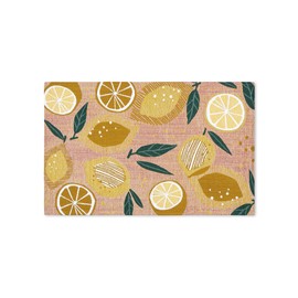 TOWN & COUNTRY LUXE Livie Fresh Lemon Everwash™ Washable Multi-Use Decorative Rug, Kitchen Rug, Low-Profile Door Mat, Bedroom Rug and Dorm Room Rug with Non-Slip Backing, Peach Pink, 24"x40"