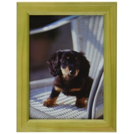 FUJICOLOR 27540 MT-K2 Photo Frame, Picture Frame, L/Postcard/2L Wooden, Green