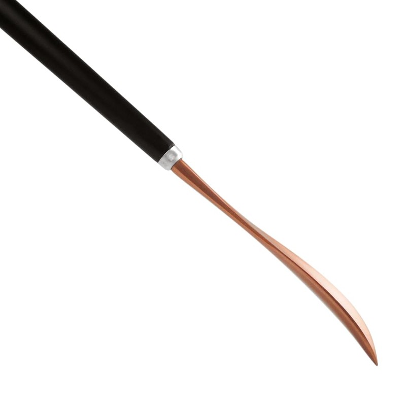 FONHERILI Shoe Horn Long Handle for Men Women Shoehorn for