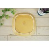 Oda Pottery Prairie Plate, Large, 8.5 inches (21.5 cm), 22.2