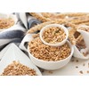 Food to Live Hard Red Wheat Berries, 1 Pound –