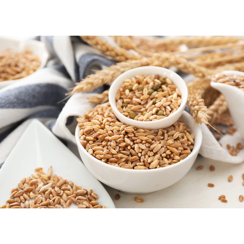 Food to Live Hard Red Wheat Berries, 1 Pound –