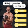 Riyuetian Shilajit Gummies for Adults | Natural Energy Boost |