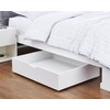 DormCo The Storage MAX - White Underbed Organizer With Wheels