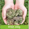 200g wild harvested Buddha's hand, natural dyed bath salt, non-food (7563925) / 야생 채취 부처손 200g 권백 천연염색 입욕제 비식품 (7563925)