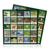 DiPrint Bird Bingo Game! With 63 Native Bird Species