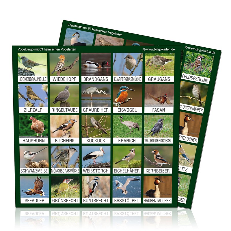 DiPrint Bird Bingo Game! With 63 Native Bird Species