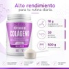 DR. WILL Colágeno Hidrolizado en Polvo 500 g, Péptidos de