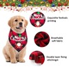 Pack of 2 Christmas Pet Scarf, Christmas Dog Neckerchief, Dog