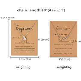 iDIMSON 2 Pieces Zodiac Necklace Gold Silver CZ 12 Constellation Pendant Necklace Astrology Sign Necklace Gifts for Women (Silver-Capricorn 2pcs)