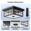 VIANIS Motion Sensor Outdoor Ceiling Light with Remote Control, 2-Light