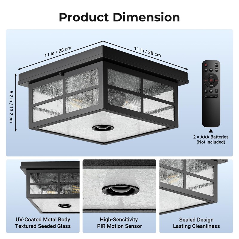 VIANIS Motion Sensor Outdoor Ceiling Light with Remote Control, 2-Light