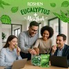 Roshen Eucalyptus-Menthol Hard Candy – Refreshing Mint & Eucalyptus Flavor,