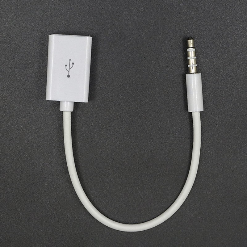 HYROOY 3.5mm Male to USB Female Converter Cable for Car