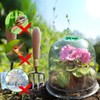 Vumdua Cloche Garden Dome, 6 Pack Plant Covers, Clear Plastic