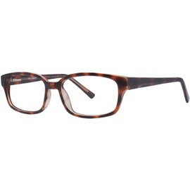GALLERY Eyeglasses MACK Tortoise