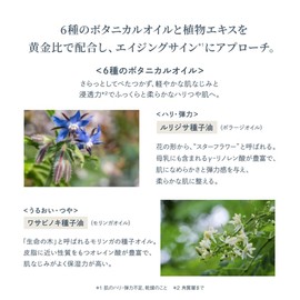 Waphyto Regena Enriched Facial Oil, 1.0 fl oz (30 ml) Beauty Oil, Serum, Booster