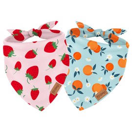 FYSUIMU 2Pcs Fruit Dog Bandana Strawberry Orange Triangle Pet Scarf Pink Blue Reversible Adjustable Pet Neckerchief Dog Bib for Medium Large Dog Cat Costume Accessories