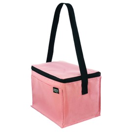 Ensign Peak Basic 6-can Insulated Cooler (Pink)