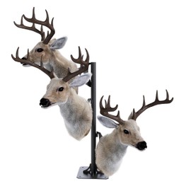 KUAFU Trophy Mount Bone Bracket, Deer Antler Mounting Kit, Adjustable Shoulder Mount, Skull Display Stand, Taxidermy Animal Mounting Hanger, Powder Coated Black Steel