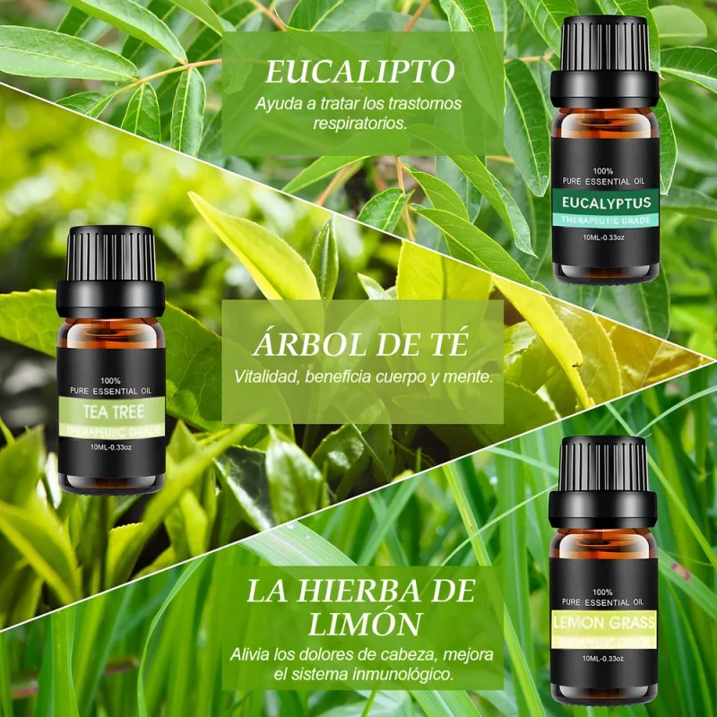 Kit De 12 Aceites Esenciales Aromaterapia 100% Puro 10ml Spa