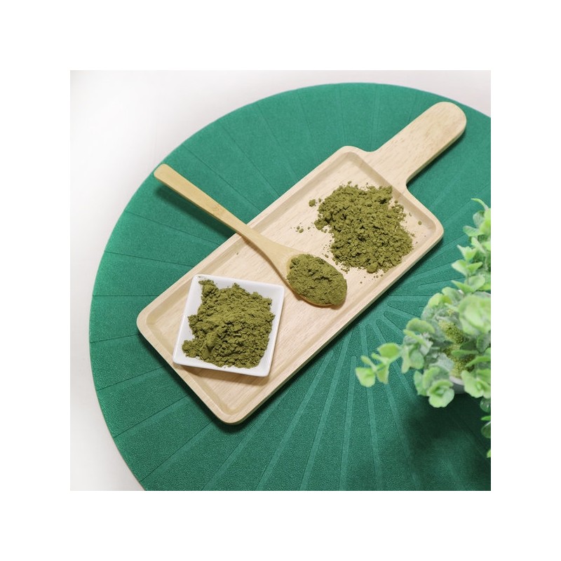 500g graviola powder (Indonesia) / 그라비올라 분말 가루 500g(인도네시아)