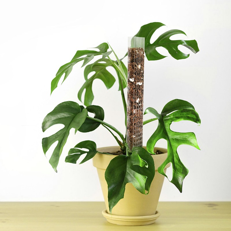 Plant Plastic Moss Pole Moss Supports Climbing Plant Poles Tortoise