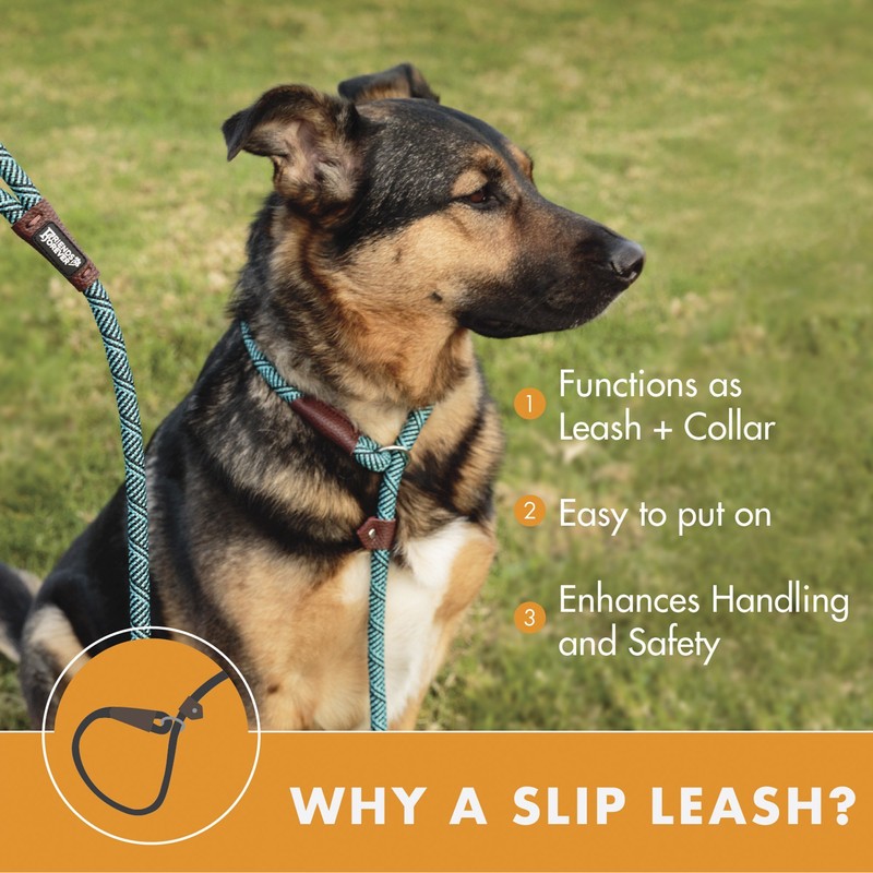 Friends Forever Extremely Durable Dog Rope Leash, Premium Quality Training