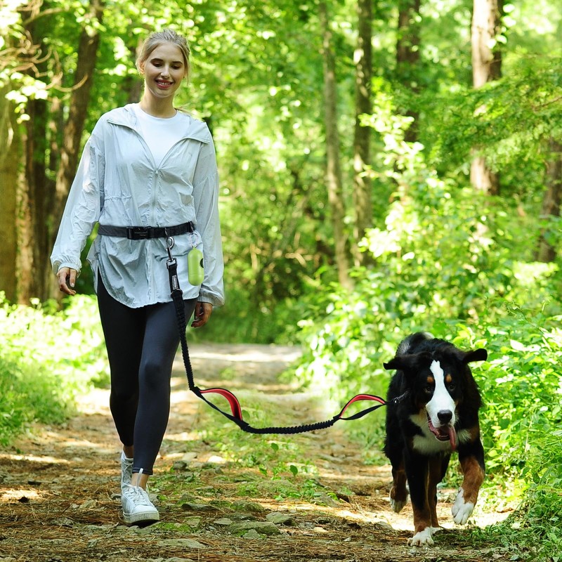 VIVAGLORY Hands Free Dog Leash Bungeetwin Running Dog Leash with
