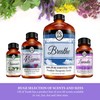 Oil of Youth - Helichrysum Essential Oil (16oz Bulk) Pure