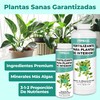 Fertilizante para Plantas de Interior, Complete Liquid Indoor Plant Food,