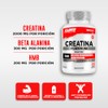 Testrol Creatina Platinum HMB y Beta Alanina Suplemento para Apoyo