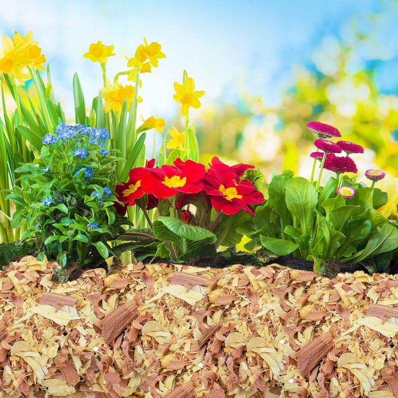 100% Natural Cedar Shavings | Mulch | Great for Outdoors