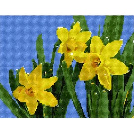 Pepita Needlepoint Canvas: Daffodils, 9" x 7"