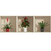 Sticker 3D Effect Wall Sticker Plants Wallpaper Decoration Optical Illusion