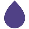 Rit DyeMore Liquid Fabric Dye for Synthetic Fabrics 207ml -