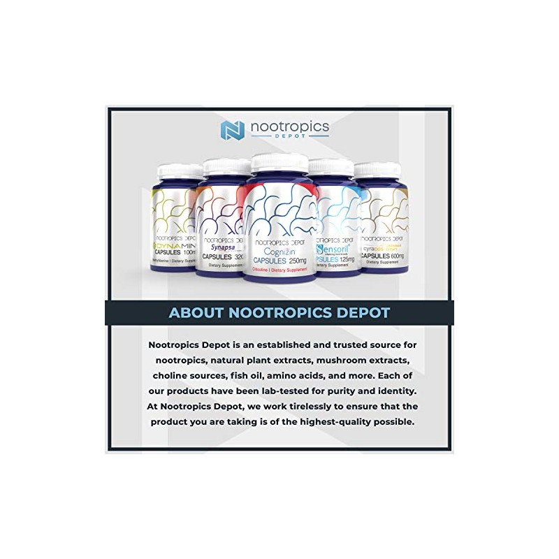 Nootropics Depot Turkey Tail Mushroom Capsules | 500mg | 60