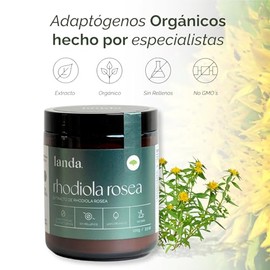 LANDA | Extracto de Rhodiola Rosea | Orgánica 10:1 | Potente Adaptógeno para Reducir el Estrés | Aumentar la Energía | Mejorar el Estado de Ánimo | Ce