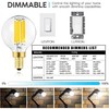 LEOOLS e12 led dimmable g16.5 Light Bulb 6W Equal 60