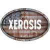 XEROSIS Patriotic American Flag Rusty Rustic Metal 6" Oval Shaped