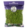 SuperMoss (26907) Spanish Moss Preserved, Grass, 4oz, 120 cubic in
