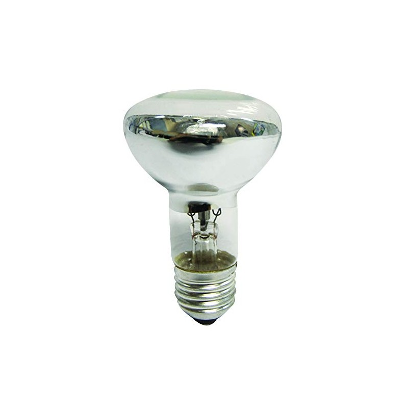 Nelson Halogen Globe R63