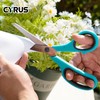 CYRUS 01017 Scissors, Stainless Steel Blades, Suitable for School and