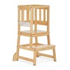 Dream On Me 2-in-1 Funtastic Tower and Step Stool, Toddler