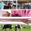 Long Sleeve Veterinary Gloves, Veterinary Gloves, Gloves for Livestock Insemination,