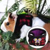 2 Pieces Small Animal Harness Lead, Hamster Harness, Chinchilla Harness,