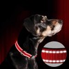Reflective Dog Collar Breathable Pet Collar Adjustable Nylon Collars Multicolor