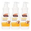 Palmer's Shea Butter Formula Raw Shea Nourish Daily Body Lotion,