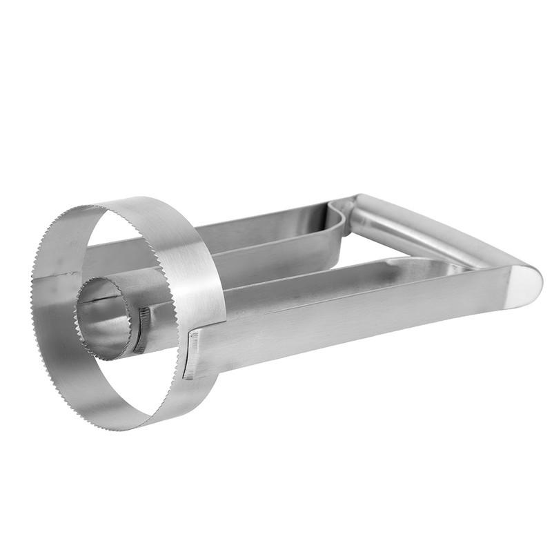 Stainless Steel Pineapple Peeler Cutter Fruit Slicer Core Remover Kitchen