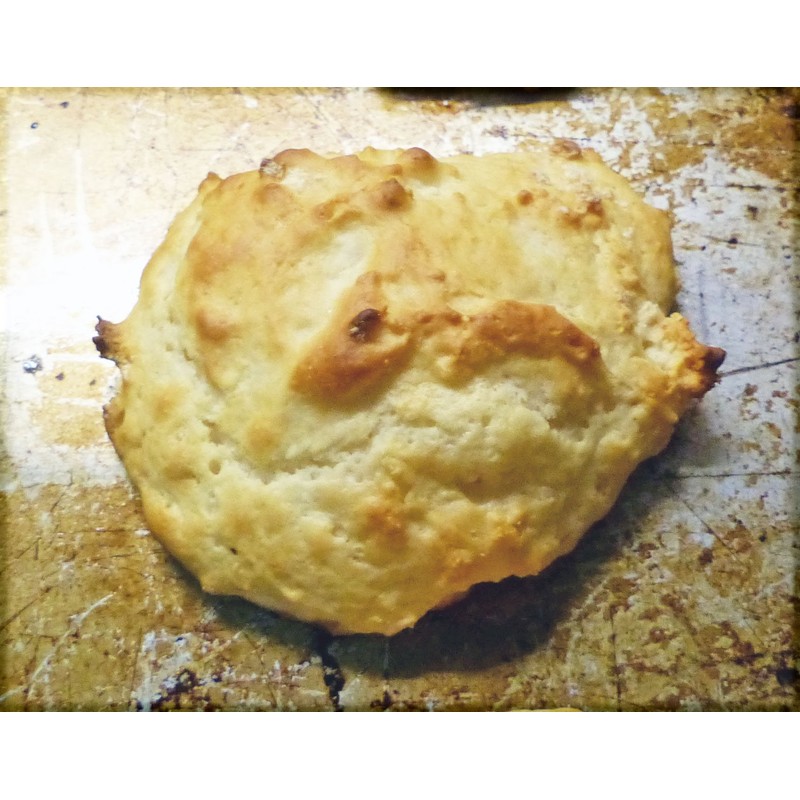 Julia's Best Biscuit Mix with Real Buttermilk and Butter 5